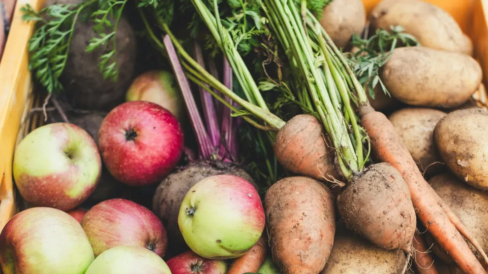 Vegetables and fruits. Photo