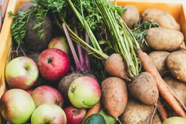 Vegetables and fruits. Photo