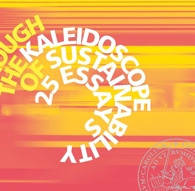 Bokomslag i gula och röda toner. Illustration