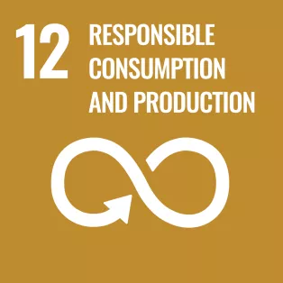 SDG 12 icon. Illustration.