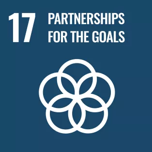 SDG 17 icon. Illustration.